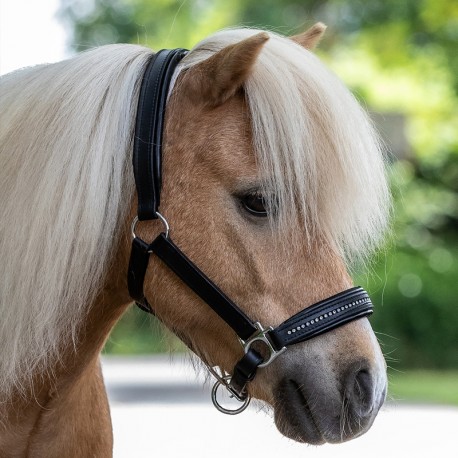 Waldhausen - Licol Cozy - Fière Allure Equitation